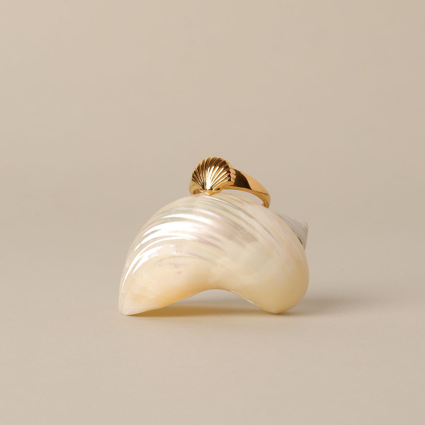 Damen Ring Gold Muschel wasserfest hypoallergen