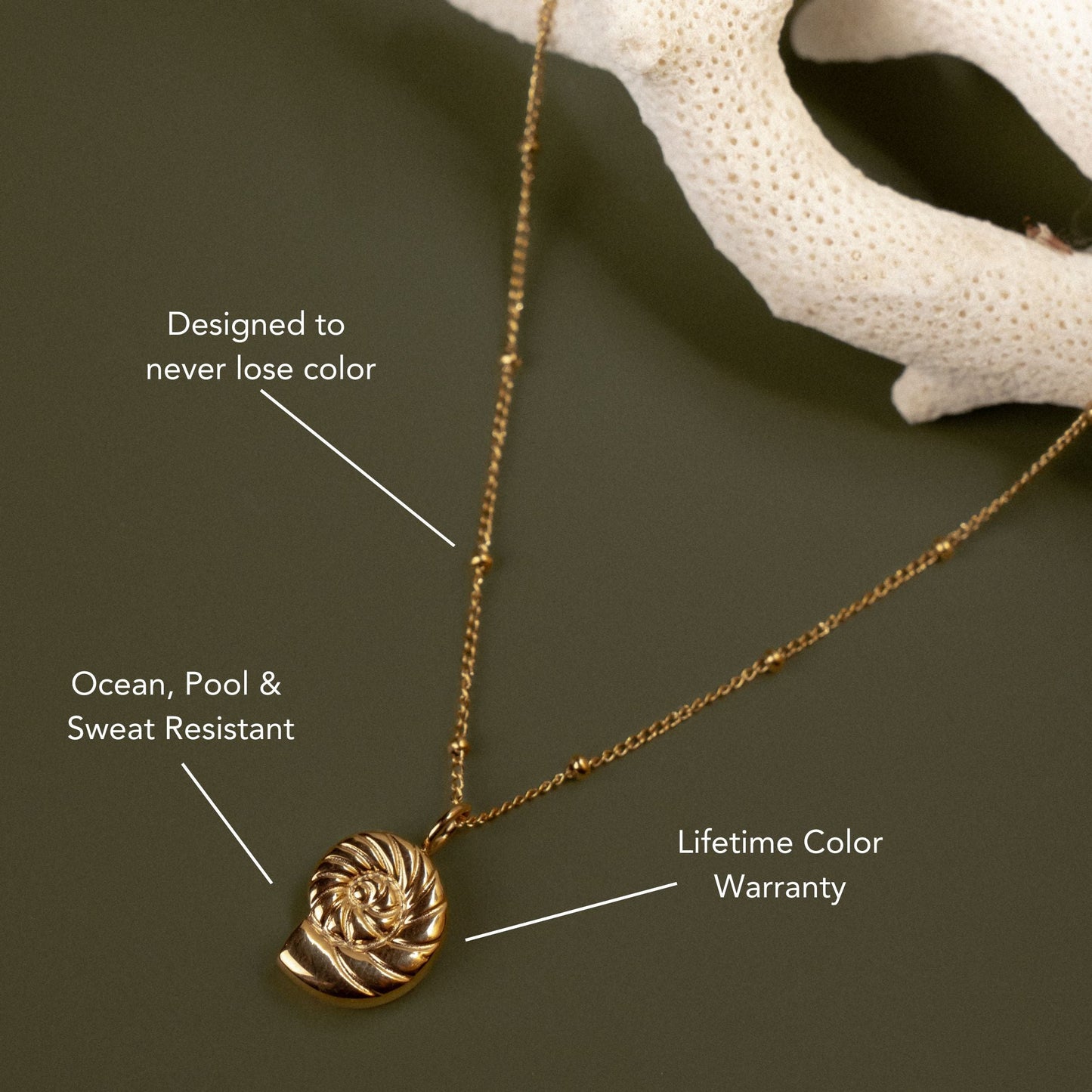 Damen Halskette Gold mit Nautilus Anhänger wasserfest Edelstahl verstellbar